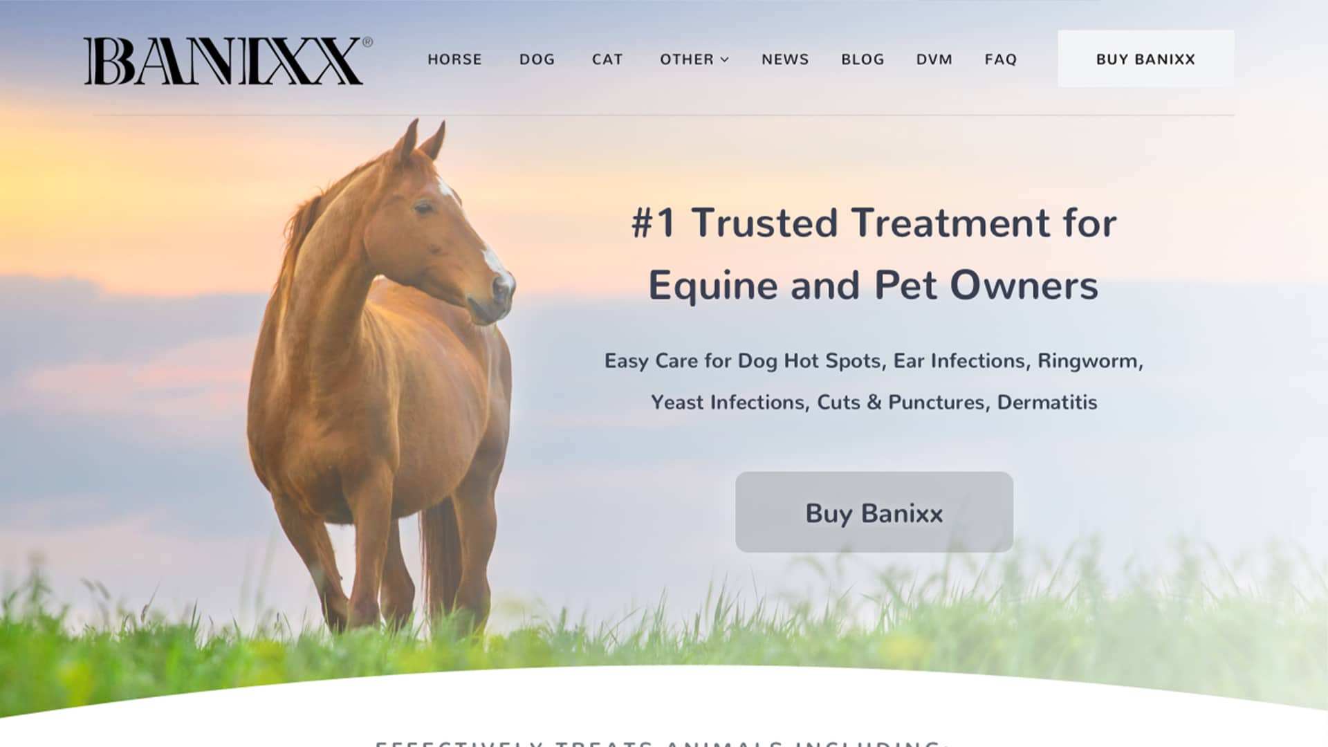 "Banixx Case Study" Featured Image